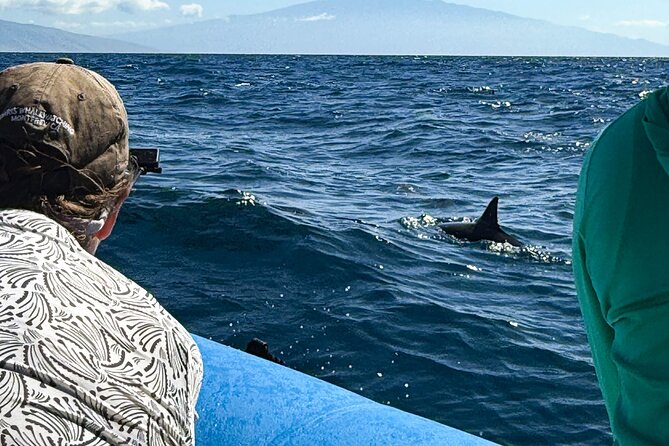 2 Hour Maui Dolphin Watch Sightsee Raft Tour (Semi-Private) - Who Will Love This Tour?