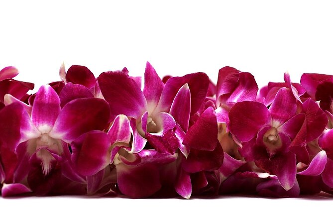 Deluxe Orchid Lei Greeting (Maui, Kahului Airport, OGG) - A Warm Welcome to Maui: The Deluxe Orchid Lei Greeting at Kahului Airport