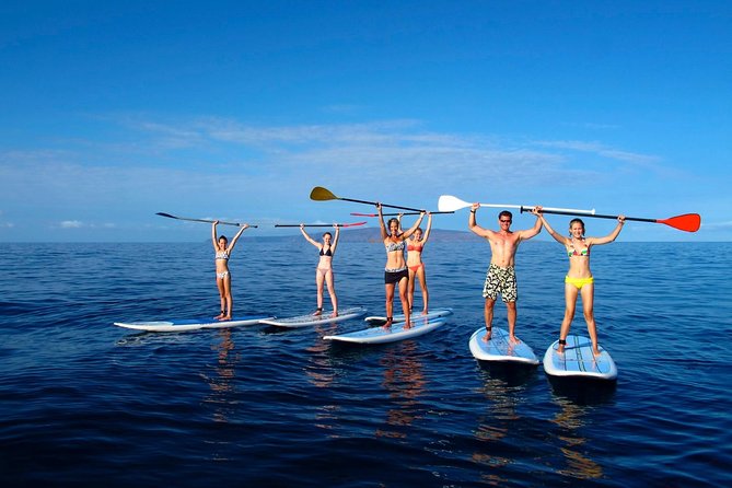 Private Beginner Paddleboard 101 Lesson: Polo Beach, Turtle Town - Practical Details and What to Expect