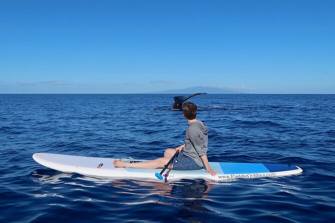 Private Paddleboard (SUP) Whale Watch: All Skill Levels Welcome - The Guided Lesson and Safety