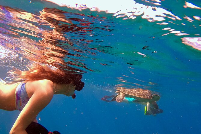 Lahaina Small Group Snorkeling Adventure - Who is This Tour Best For?