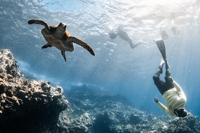 Lahaina Small Group Snorkeling Adventure - FAQ