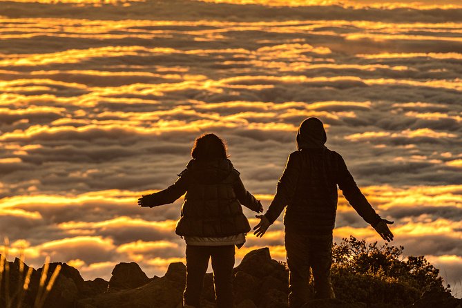 Majestic Haleakala Sunrise Tour with Pick-up - Authentic Reviews Bring the Experience to Life