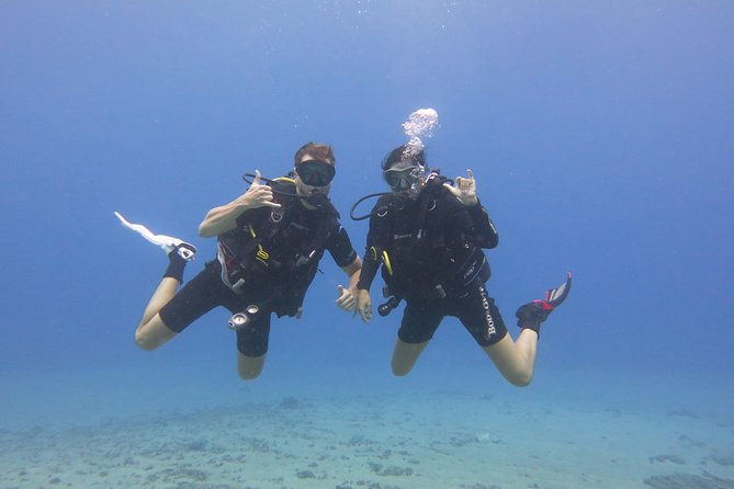 Beginner Scuba Dive in Lahaina: Swimming Required - The Verdict: Is It Worth It?