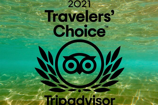 Beginner Scuba Dive in Lahaina: Swimming Required - Final Thoughts