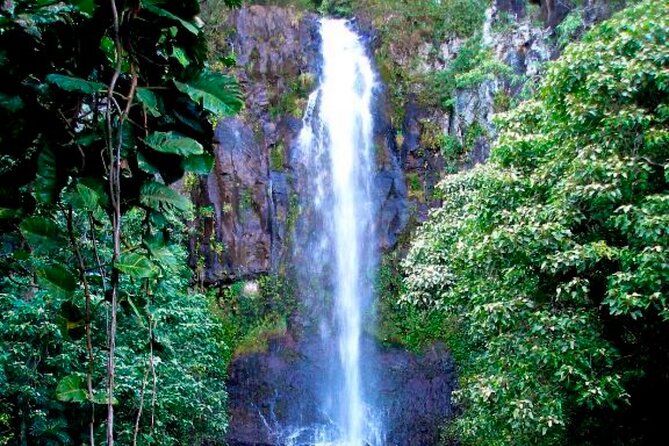 Small Group Road to Hna Tour 6 to 8 passengers - Practical Details You Should Know