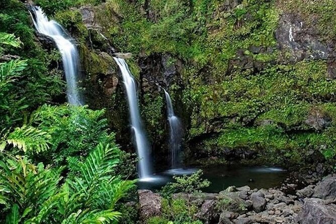 Road to Hana Deluxe Rainforest and Waterfall Experience from Oahu - What Travelers Love and Consider