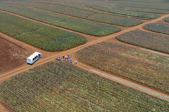 Maui Pineapple Farm Tour in Haliimaile - Detailed Breakdown of the Itinerary