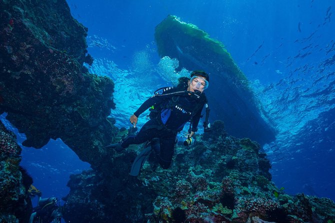 2 Tank Lanai Cathedral Scuba Dive Via Boat for Certified Divers - Who Will Love This Trip?
