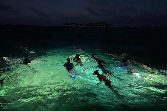 Night-Time Snorkel at TurtleTown with Stars, Lights, and Photos - Key Points