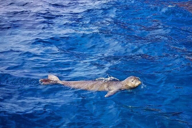 Flotation Therapy Rental 24 Hr Float Wetsuit, Goggle, Headphone - The Sum Up