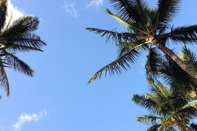 Haleakala Volcano Slingshot Tour from Lahaina - The Itinerary: What to Expect at Each Stop