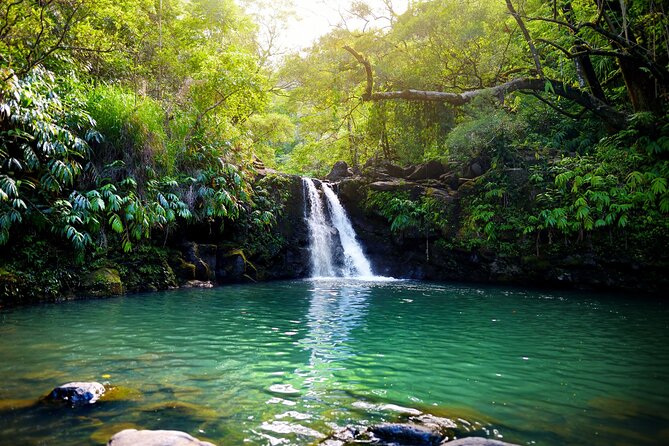 Maui Beach Parks Self-Guided Driving Tour - Who Will Love This Tour?