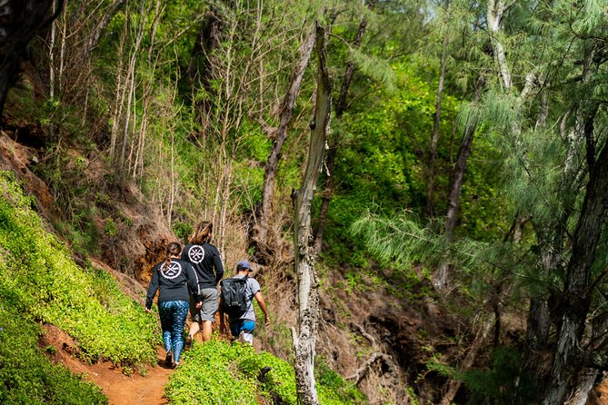 VIP Private Full-Day Road to Hana Tour from Lahaina-Kapalua - FAQs