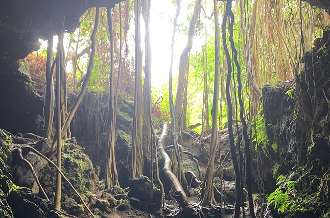 VIP Private Full-Day Road to Hana Tour from Lahaina-Kapalua - Who Will Enjoy This Tour?