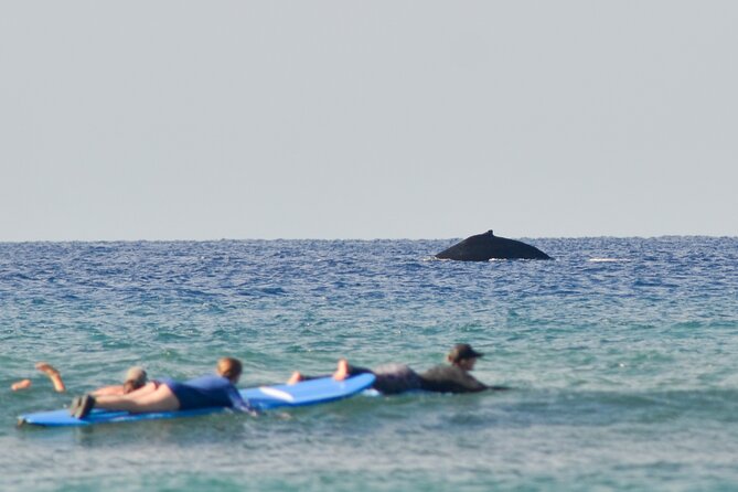 Semi Private Surf Lessons with Experienced Coaches - Experience Maui’s Best with Semi-Private Surf Lessons from Maui Surfer Girls