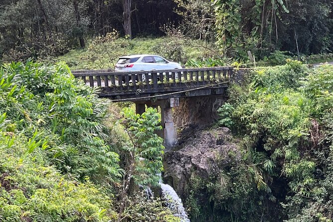 Full Day Private Maui Waterfall, Beach & Hana Tour - In Closing