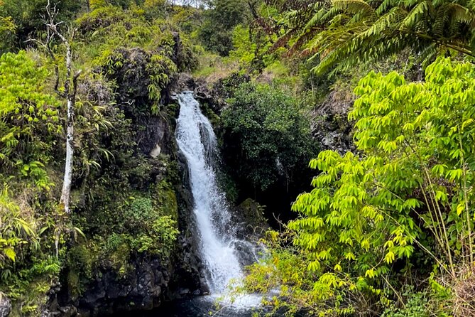 Half Day Private VIP Road to Hana Tour - Frequently Asked Questions