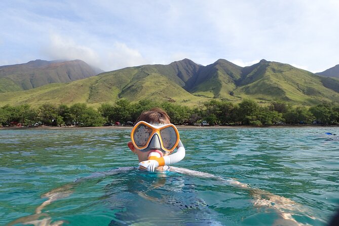 Group Snorkel Excursions in Lahaina, Maui - A Closer Look at the Maui Snorkel Adventure