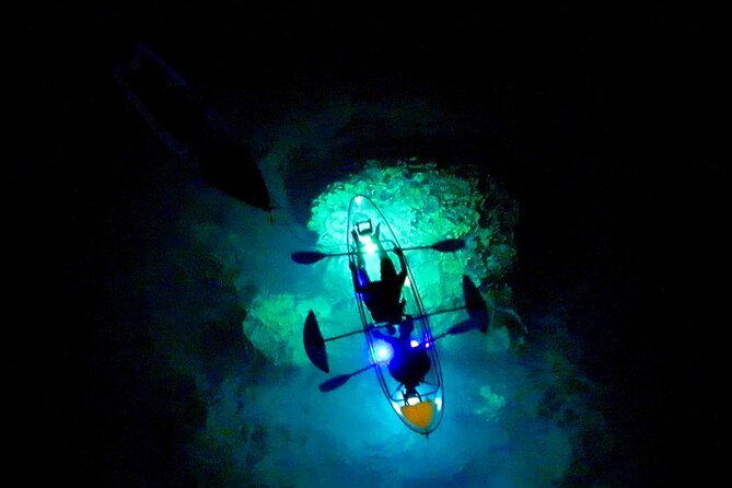 Sunset/Glow Clear Kayak Tour in Olowalu - Who Will Love This Tour?