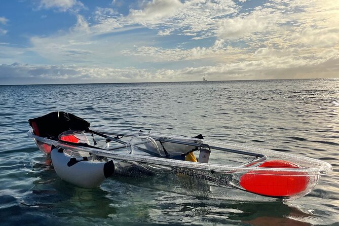 Clear Bottom Glassy Kayak Rental | MAUI | Safe and Stable Kayaks - Why This Kayak Rental Is a Good Pick