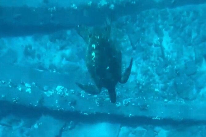 Clear Bottom Glassy Kayak Rental | MAUI | Safe and Stable Kayaks - Final Thoughts