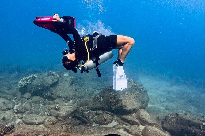 Scuba Diving in Maui with No Experience Needed - Overview of the Experience