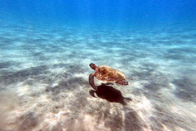 Certified Divers! Scuba dive the Ka'anapali Coast and more! - FAQs