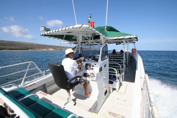 Private Charter Humpback Whale Watching & Dolphin Search - Price and Value