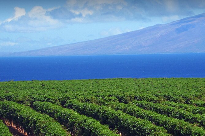 Fun & Affordable! West Maui Open-Air Sightseeing Tour! - What Travelers Say