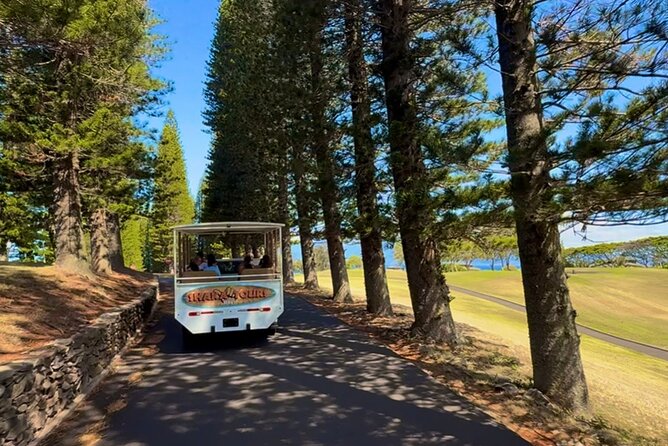 Fun & Affordable! West Maui Open-Air Sightseeing Tour! - The Sum Up