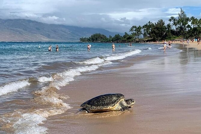 Maui Mini Retreat - Who Would Love the Maui Mini Retreat?