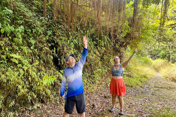 Hidden Waterfall Adventure in Your Rental  Private Tour - FAQ