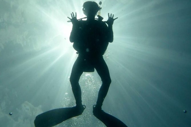 Underwater Scooter Dive (Certified Divers Only) Makena Wailea - Final Thoughts