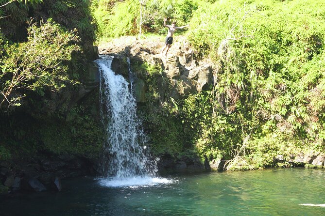 Road to Hana Deluxe Rainforest & Waterfall Experience from Oahu - Who Should Book This Tour?