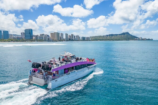 Waikiki, Oahu 2-Hour Whale Watching: Guaranteed Sightings - Key Points