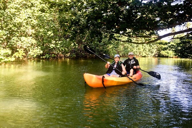 Rainforest River Kayak Self-Guided Kayak Tour - Practical Tips for Your Kayak Adventure