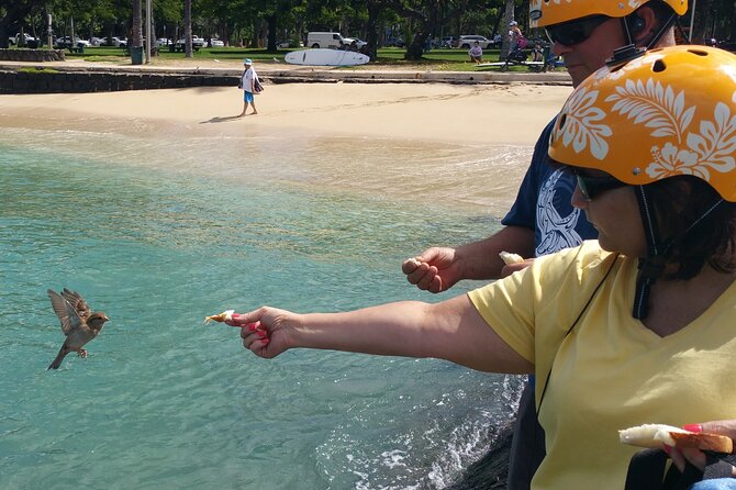 Group priced Food Distillery Brewery half island private tour - Final Thoughts: Is This Tour Right for You?