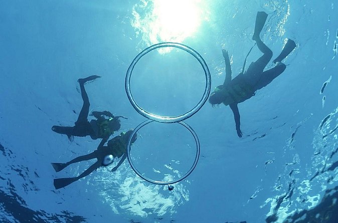 Whale & Dolphin Watching, Turtle Snorkeling - In The Sum Up