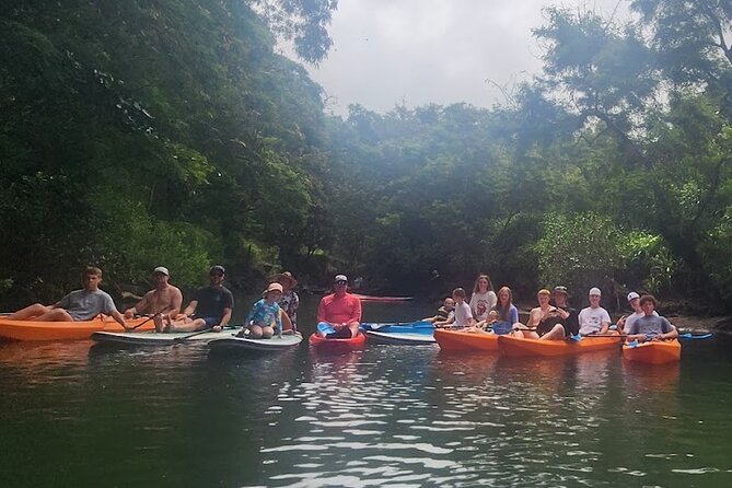 2 hour tandem kayak rental at our private launch area in Hale'iwa - Authentic Experiences & Customer Feedback