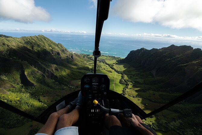 Private 60 Minutes Helicopter Tour in Honolulu - Who Will Love This Tour?