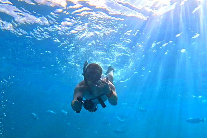 Deluxe Turtle Snorkeling Escapade at Waikiki - Why This Tour Stands Out