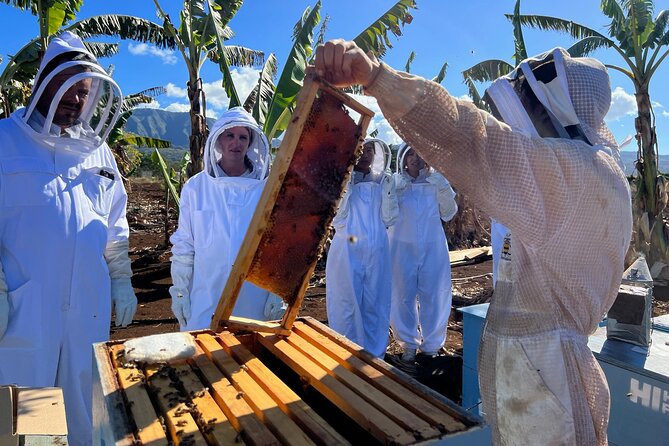 Bee Farm Ecotour and Honey Tasting in Waialua, North Shore Oahu - Detailed Review: The Heart of the Honey Farm Experience