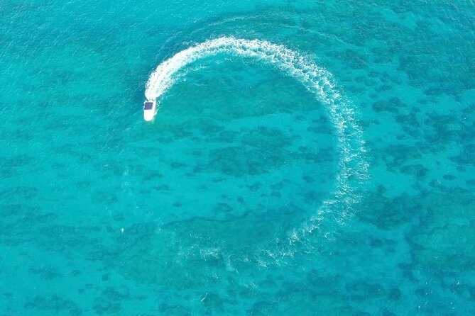 Private Boat Cruise of Waikiki! Snorkel, Sightseeing, Sea Life! - The Value and Why It’s Worth Considering