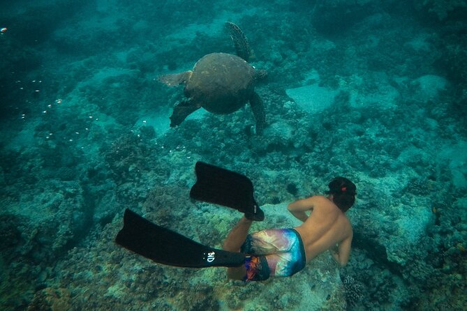 Private Boat Cruise of Waikiki! Snorkel, Sightseeing, Sea Life! - Key Points