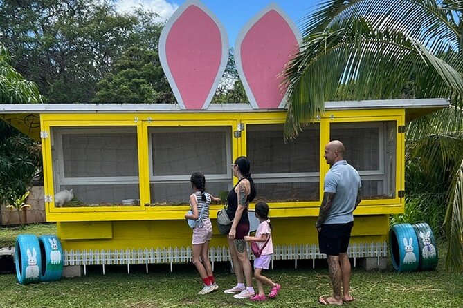 North Shore Farm: Anahulu River, Kayak-Sup, Turtles, Lunch & More - Final Thoughts