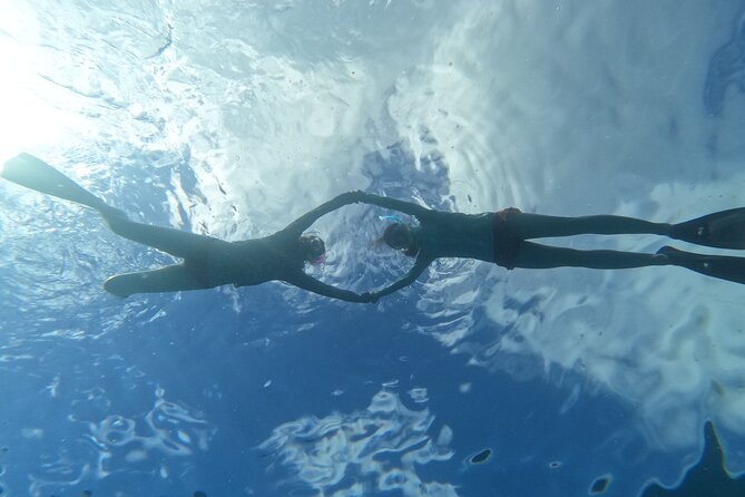 Paradise Honu Snorkeling Tour - Final Thoughts