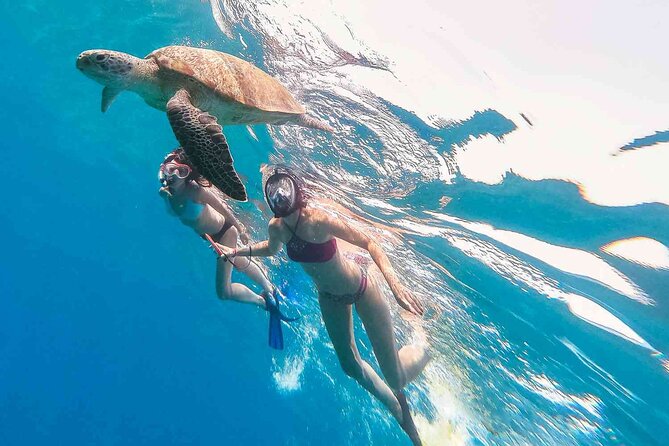 Oahu Coastline Cruise: Turtle Snorkeling and Jumping Platform - Detailed Breakdown of the Itinerary