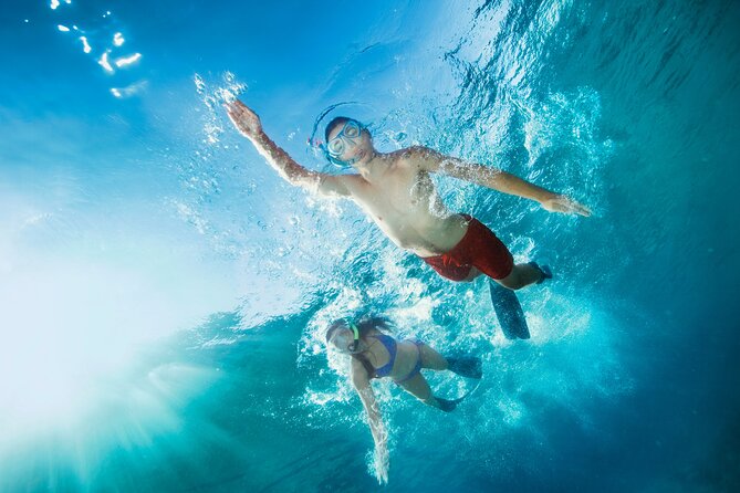 Oahu Coastline Cruise: Turtle Snorkeling and Jumping Platform - Final thoughts