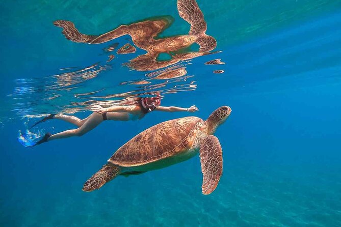 Oahu Coastline Cruise: Turtle Snorkeling and Jumping Platform - Key Points